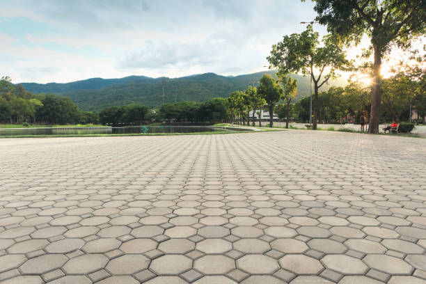 Best Interlocking Driveway Pavers  in Camano, WA